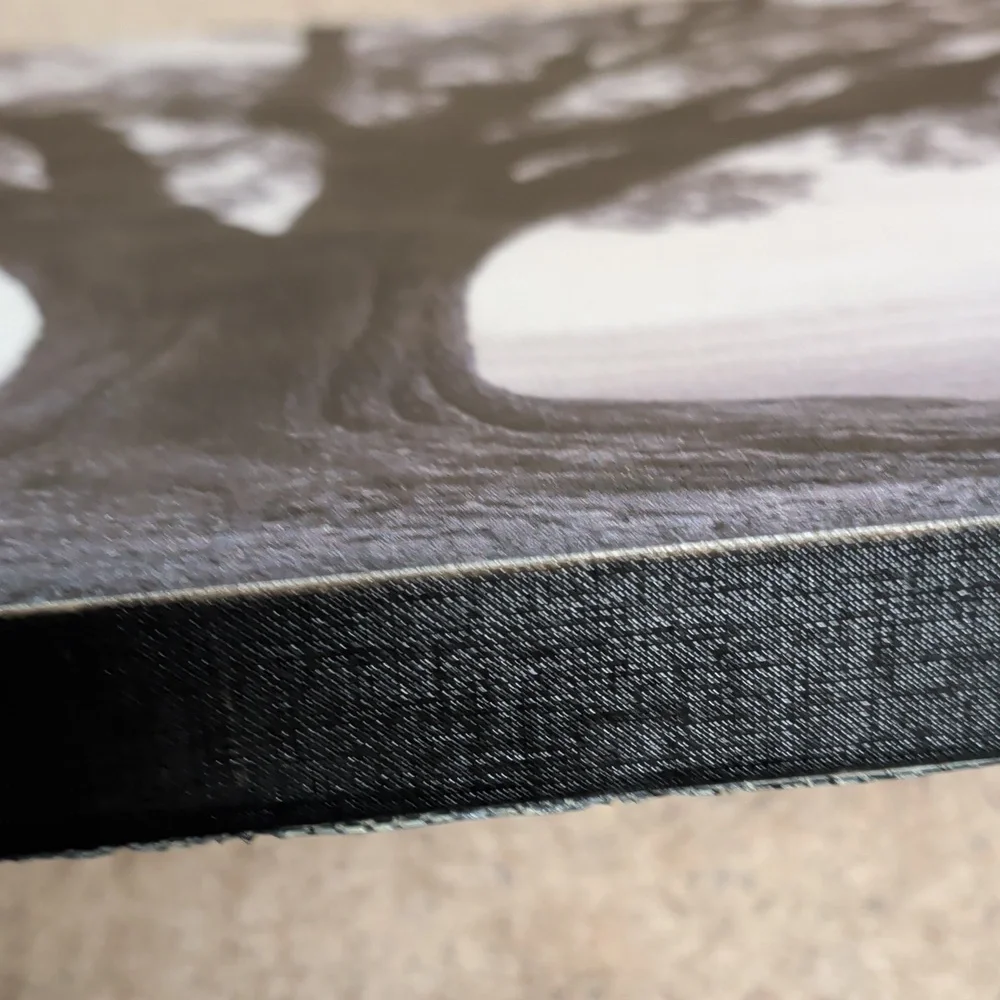 Tree of Life Black & White Photo 23.5 By 23.5 Stretched Canvas Art - Picture 4 of 10